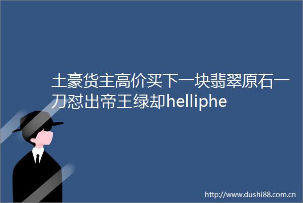 土豪货主高价买下一块翡翠原石一刀怼出帝王绿却helliphellip