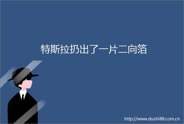 特斯拉扔出了一片二向箔