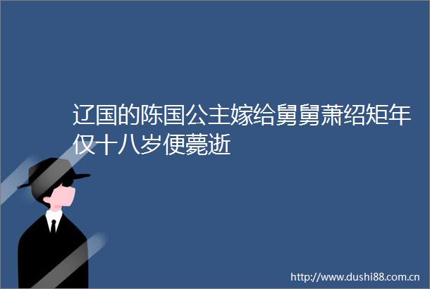 辽国的陈国公主嫁给舅舅萧绍矩年仅十八岁便薨逝