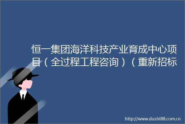 恒一集团海洋科技产业育成中心项目（全过程工程咨询）（重新招标）变更公告