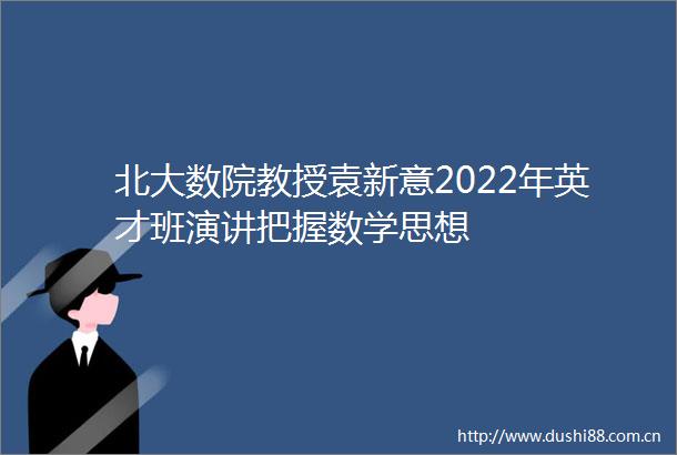 北大数院教授袁新意2022年英才班演讲把握数学思想
