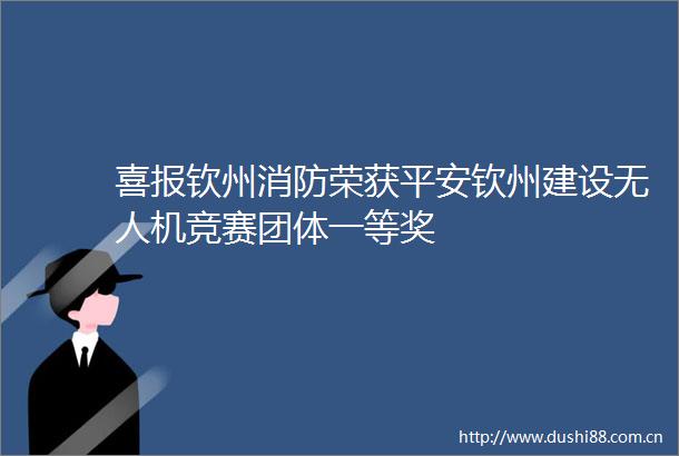 喜报钦州消防荣获平安钦州建设无人机竞赛团体一等奖