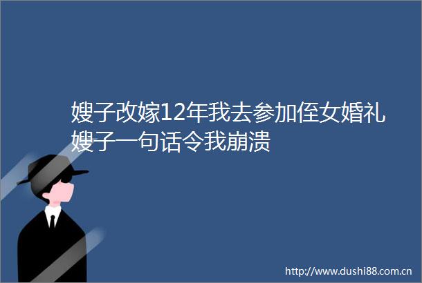 嫂子改嫁12年我去参加侄女婚礼嫂子一句话令我崩溃