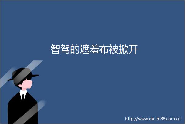 智驾的遮羞布被掀开