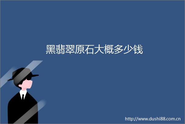黑翡翠原石大概多少钱