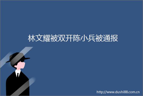 林文耀被双开陈小兵被通报