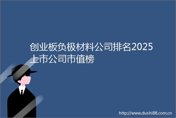 创业板负极材料公司排名2025上市公司市值榜