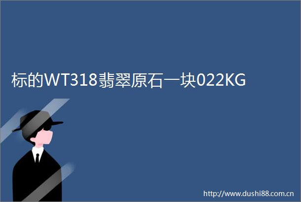 标的WT318翡翠原石一块022KG