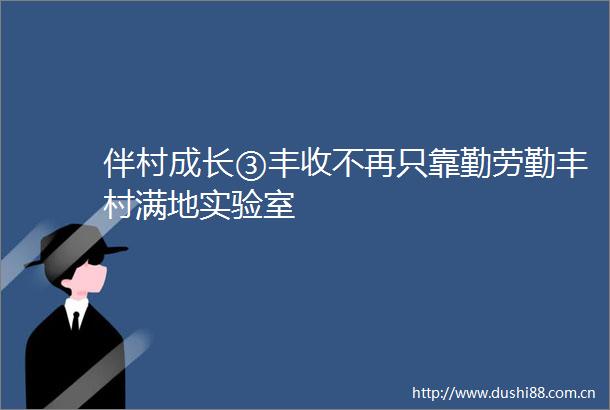 伴村成长③丰收不再只靠勤劳勤丰村满地实验室