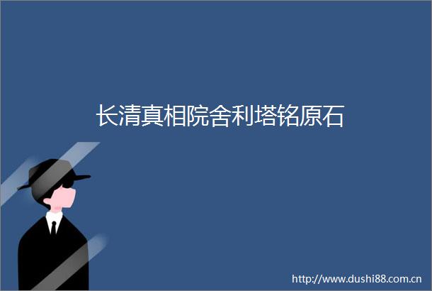长清真相院舍利塔铭原石