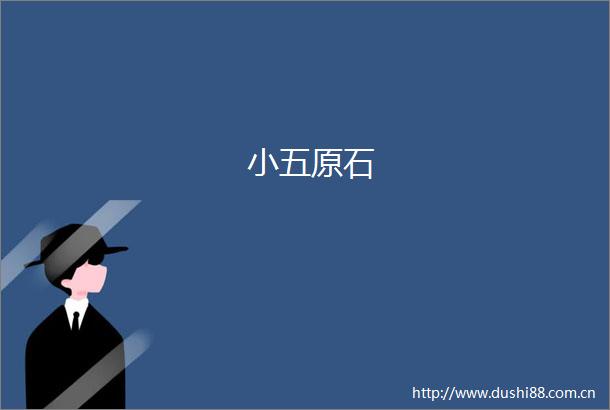 小五原石