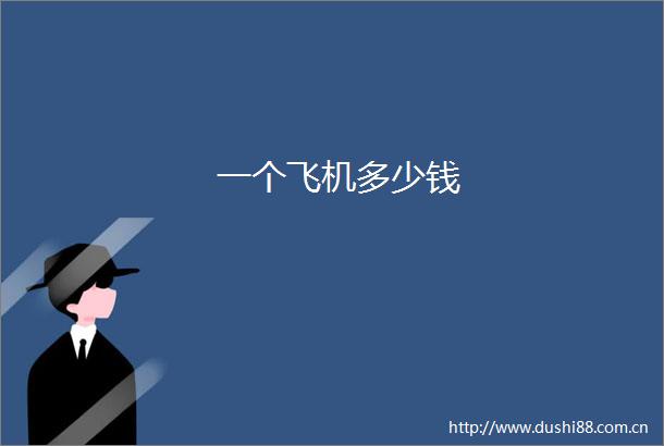 一个飞机多少钱