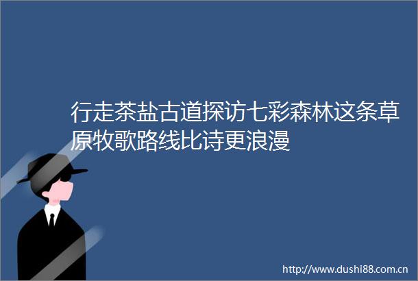 行走茶盐古道探访七彩森林这条草原牧歌路线比诗更浪漫