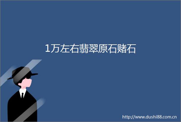 1万左右翡翠原石赌石