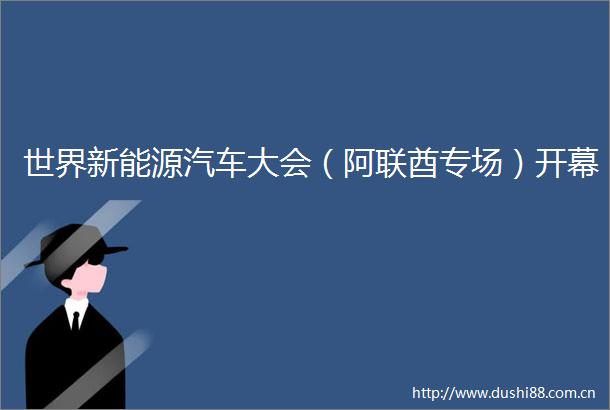 世界新能源汽车大会（阿联酋专场）开幕