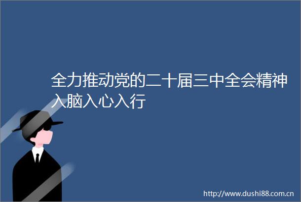 全力推动党的二十届三中全会精神入脑入心入行