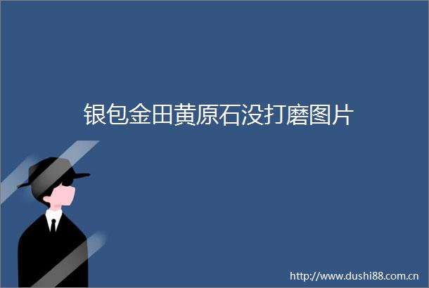 银包金田黄原石没打磨图片