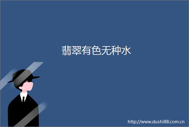 翡翠有色无种水