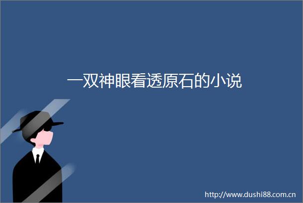 一双神眼看透原石的小说