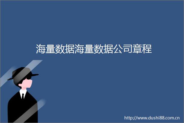 海量数据海量数据公司章程