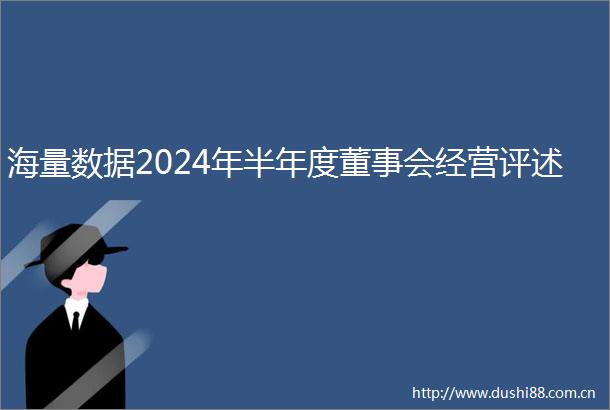 海量数据2024年半年度董事会经营评述
