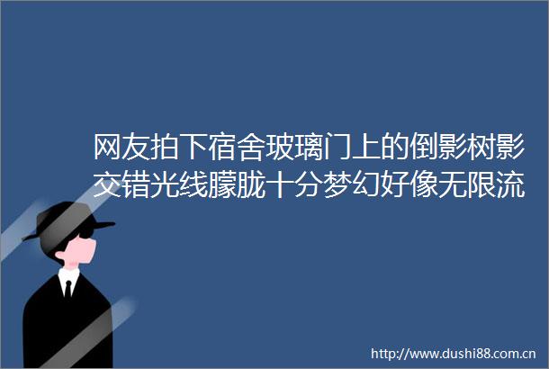 网友拍下宿舍玻璃门上的倒影树影交错光线朦胧十分梦幻好像无限流游戏里面的宿舍副本