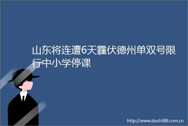 山东将连遭6天霾伏德州单双号限行中小学停课