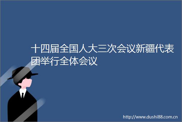 十四届全国人大三次会议新疆代表团举行全体会议