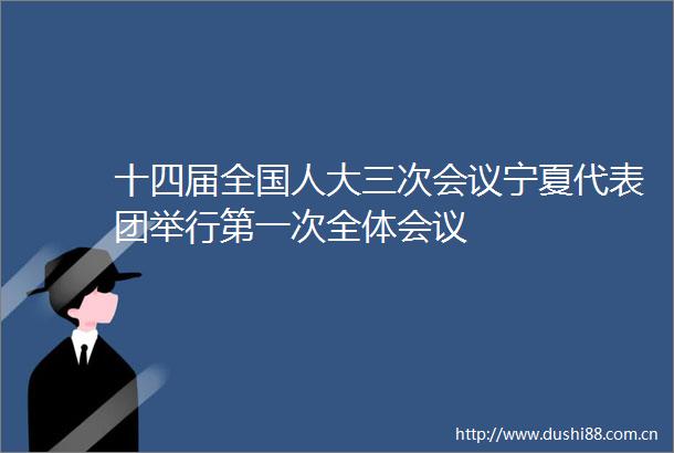 十四届全国人大三次会议宁夏代表团举行第一次全体会议