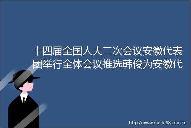 十四届全国人大二次会议安徽代表团举行全体会议推选韩俊为安徽代表团团长王清宪刘海泉费高云陶明伦为副团长