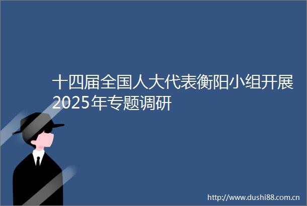 十四届全国人大代表衡阳小组开展2025年专题调研