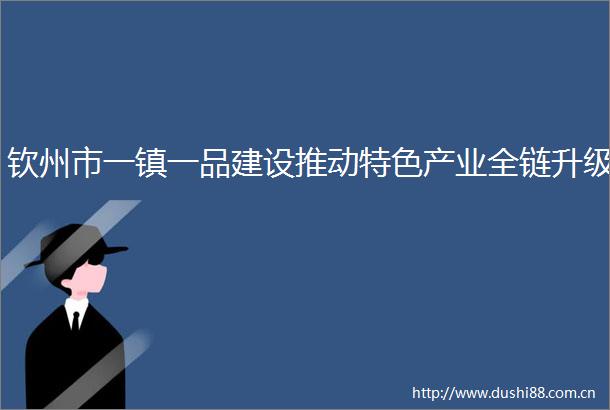 钦州市一镇一品建设推动特色产业全链升级