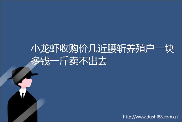小龙虾收购价几近腰斩养殖户一块多钱一斤卖不出去