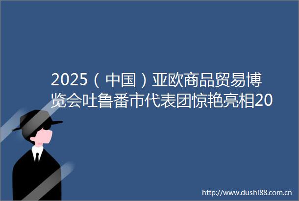 2025（）亚欧商品贸易博览会吐鲁番市代表团惊艳亮相2025商博会