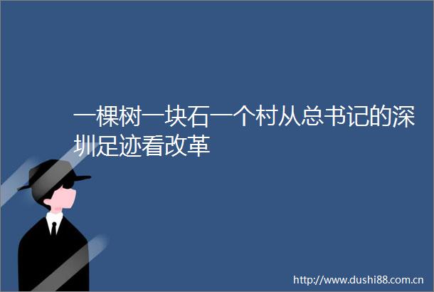 一棵树一块石一个村从总书记的深圳足迹看改革
