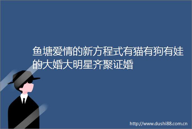 鱼塘爱情的新方程式有猫有狗有娃的大婚大明星齐聚证婚