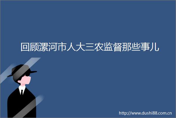 回顾漯河市人大三农监督那些事儿