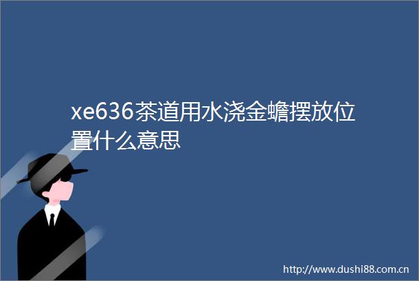 xe636茶道用水浇金蟾摆放位置什么意思