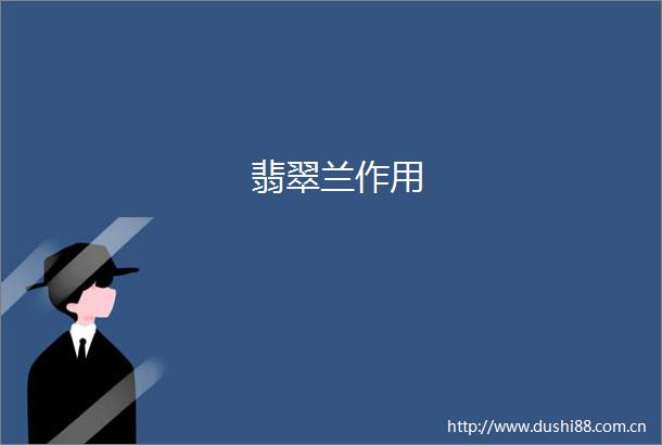 翡翠兰作用