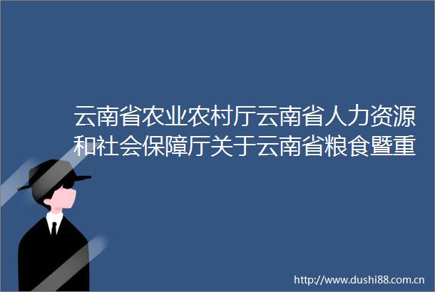 云南省农业农村厅云南省人力资源和社会保障厅关于云南省粮食暨重要农产品生产先进集体和先进个人拟表彰对象的公示