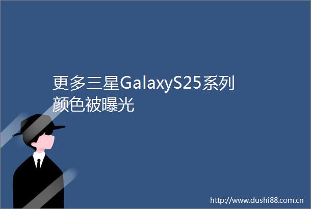更多三星GalaxyS25系列颜色被