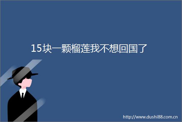 15块一颗榴莲我不想回国了