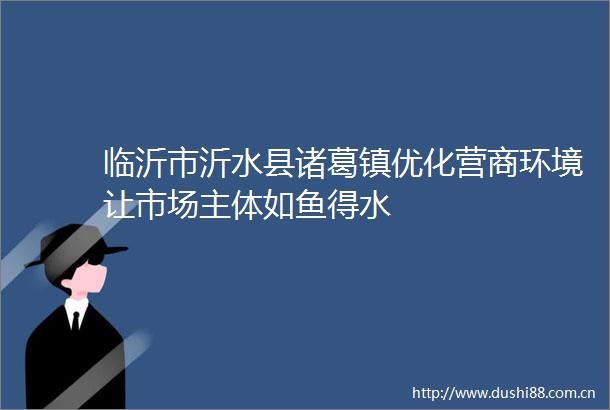 临沂市沂水县诸葛镇优化营商环境让市场主体如鱼得水