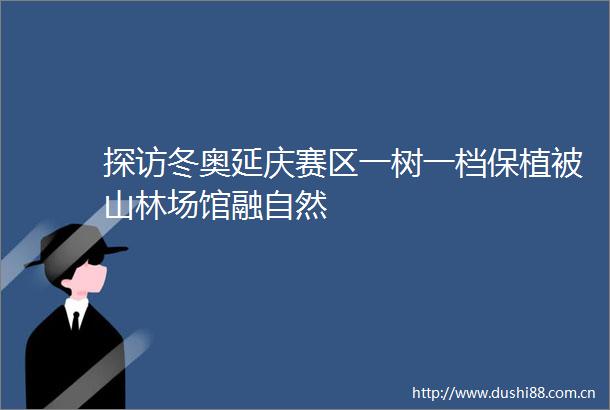 探访冬奥延庆赛区一树一档保植被山林场馆融自然