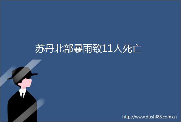 苏丹北部暴雨致11人死亡