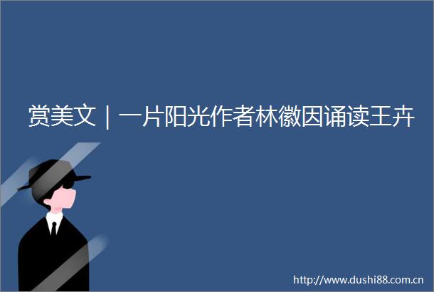 赏美文｜一片阳光作者林徽因诵读王卉