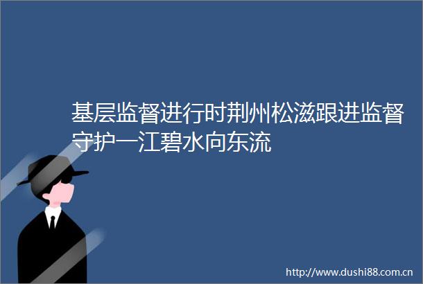 基层监督进行时荆州松滋跟进监督守护一江碧水向东流