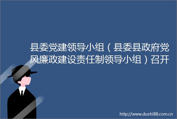 县委党建小组（县委县党风廉政建设责任制小组）召开2025年第一次会议