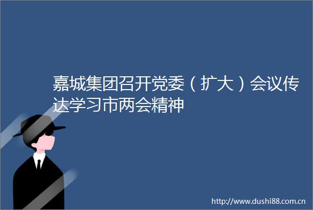嘉城集团召开党委（扩大）会议传达学习市两会精神