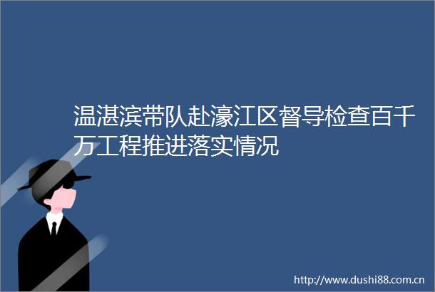 温湛滨带队赴濠江区督导检查百千万工程推进落实情况